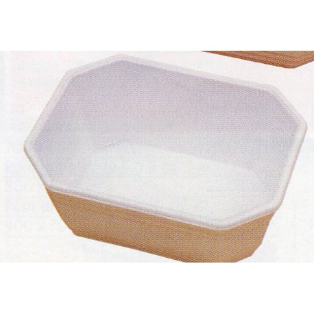 TERRINE PLASTIQUE  25 CL X 100