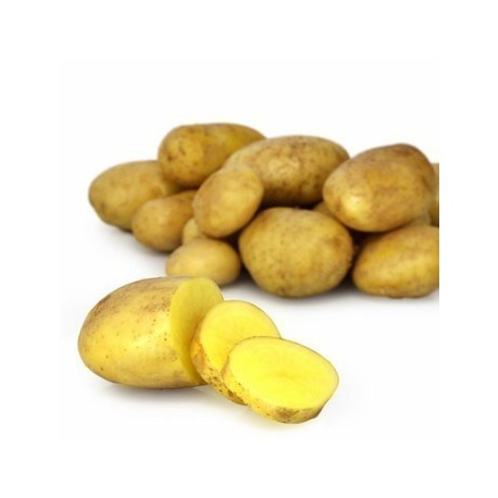 POMME DE TERRE MOYENNES LE SACHET 2.5 KG