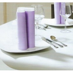 NAPPE VOIE SECHE COULEUR  X 25 M