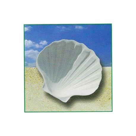 COQUILLES MINERALES/192